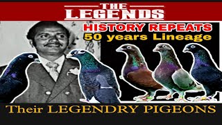 ಲೆಜೆಂಡ್ ಮತ್ತು ಅವರ ಲೆಜೆಂಡ್ರಿ ಪಾರಿವಾಳಗಳು | LEGEND AND THEIR LEGENDRY PIGEONS