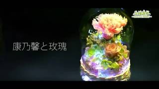 原始森林 - 永生不息的康乃馨と玫瑰