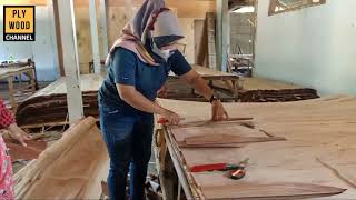 PENGERINGAN DAN REPAIR OPC,SEPERTI INI TEKNIKNYA #plywoodchannel