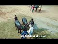 ಕಂಬಳ buffalo race watching kambala race training at moodabidri kambala kambla buffalorace