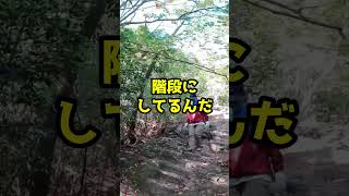 鳳来寺山を登山してたらスゴイ階段見つけたwww #shorts