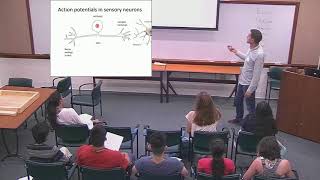 Yale Pathways 2017 - Sensory Physiology - Electrophysiology