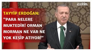 Akbelen'deki kesimin ardından Erdoğan'ın o sözleri gündem oldu: "Şu para var ya nelere muktedir!"