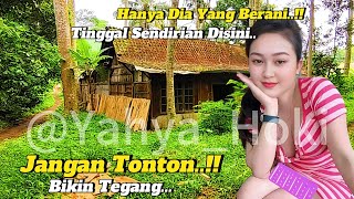 Jangan Tonton..!!Ngintip Kehidupan Terpencil Tengah Hutan Di Tepi Jurang  Banyubiru Jawa Tengah🇮🇩