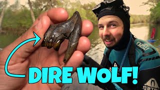 We Found RARE Dire Wolf and Bear Teeth Underwater in a Florida River - Florida Fossil Hunting 🐺 🐻