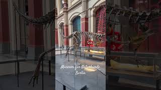 Museum in Berlin #германия #museum #berlin Музей природы в Берлине