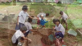 การดำเนินงานตามโครงการ โรงเรียนเศรษฐกิจพอเพียง ของโรงเรียนชุมชนบ้านหนองแวง อ.หนองบัวแดง จ.ชัยภูมิ