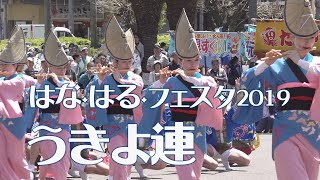 本場徳島の阿波踊り有名連「うきよ連」春らんまん阿波おどり - はな・はる・フェスタ2019（2020.9.2）