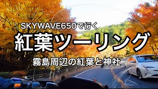 【牧師さんのツーリング日記】SKYWAVE650で行く紅葉ツーリング　霧島周辺の紅葉と神社