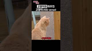 고양이 사진을 봤다 2탄 #shorts