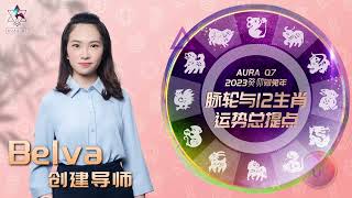 AURA Q7 2023癸卯财兔年 脉轮与12生肖运势总提点 \\\\ 兔 龙 蛇 //