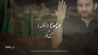 Shahid Hussain Baltistani | Haey Sughra sa (Wichora) 2017-18