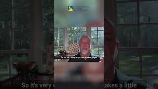 How to Get Your Accident Report Online FAST!