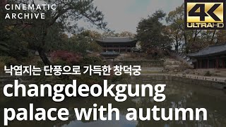 낙엽이 지는 단풍으로 가득한 창덕궁 / Changdeokgung Palace, Korea Drone - 단풍길, 창덕궁 후원,드론 |시네마틱아카이브-대한민국영상소스