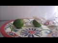 Download FREEZE EM (WITH LIMES) FREEZER SPELL . In Mp4 3Gp Full HD Video