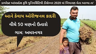 ડીસેમ્બર 2020માં ડાયરેક્ટ આંધ્રપ્રદેશ યુનિવર્સિટિથી બિયારણ લઈ kadri Lepakshi k1812 નું વાવેતર કર્યું