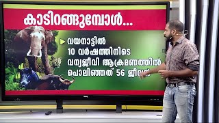 അജീഷ്, പോൾ...; നാളെ ആര്? വയനാട്ടിൽ 10 വർഷത്തിനിടെ 44 പേരുടെ ജീവനെടുത്തത് കാട്ടാന | Wayanad