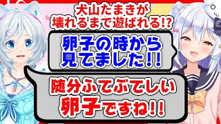 【切り抜き】電脳少女シロは犬山たまきの壊し方を知っている??○○を引き出したい!!【#シロたま】