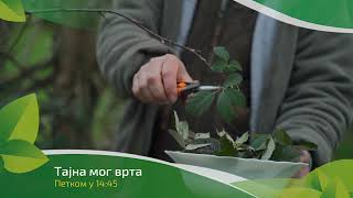 Tajna mog vrta ep. 209 31.01.2025. NAJAVA