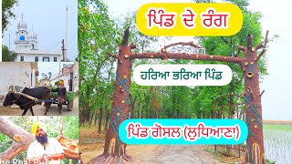 'ਪਿੰਡ ਦੇ ਰੰਗ' ਪਿੰਡ ਗੋਸਲ (ਲੁਧਿਆਣਾ) #pind_de_rang #village_gosal(ludhiana)