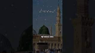 12 Rabi ul Awal|جشن عید میلاد النبی|Daily Islamic status|wo Mera Nabi hai|#viral #islamicstatus #osa