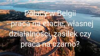 Polacy w Belgii- jaka forma pracy? Etat, dzialalność gospodarcza, zasiłek czy praca na czarno?