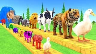 Paint Animals Duck,Tiger,Cow,Lion,Rabbit,Gorilla,Elephant,Dinosaur Fountain Crossing Animal Game Pi