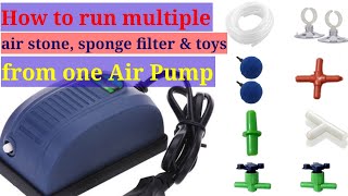 How To Run Multiple Air Stone, Sponge Filter, And Toys From One Air Pump