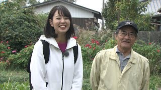 さざえ隊と郷土料理の茶粥も堪能！高見島におじゃま島～す！香川・多度津町