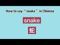 How to say “snake” in Chinese