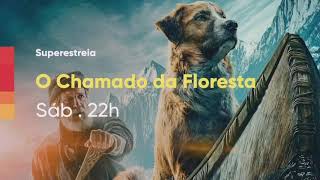 (HD) O Chamado da Floresta - Super Estreia no Telecine Premium