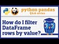 How do I filter rows of a pandas DataFrame by column value?