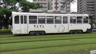 鹿児島市電　かわいいでんでん・白くま黒豚電車