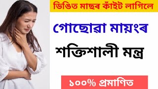 ডিঙিত মাছৰ কাঁইট লাগিলে গুছোৱা মায়ংৰ শক্তিশালী মন্ত্ৰ ।। Assamese vastu ll Assamese Mantra ll