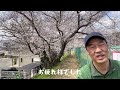 【ソロ登山】中山連山を縦走！ミツバツツジが咲き誇るツツジロードと中山寺奥の院へ！