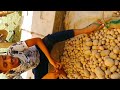 1st vlog 😂 team vlog potato seller tangla market