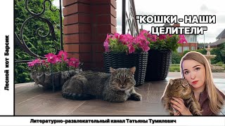 😻 КОШКИ - наши целители✨Cats are our healers.