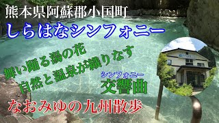 【九州温泉】今回は熊本県阿蘇郡小国町のしらはなシンフォニーさんを紹介します。 湯の花が浴槽内を彩る癒しの温泉です。 #熊本県 #小国町 #温泉 #家族湯 #spa #湯の花 #自然 #森林浴