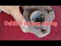 How to replace wheel bearing of toyota vios @kolokoygarage