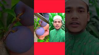 রাতে ঘুমানোর আগে এই দোয়াটি পাঠ করলে #viralvideo