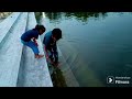 fish racing in nalgonda sri chaya someswaralayam pond