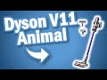 Dyson V11 Animal - AKKU STAUBSAUGER - LOHNT SICH DER KAUF?