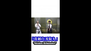 殺陣師の1分　白刃取り #Shorts