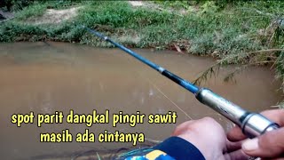 ngluyur mancing umpan cacing #baung #tawes pun naik