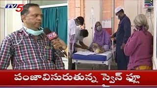 పంజావిసురుతున్న స్వైన్ ఫ్లూ! | Rapid Spread Of Swine Flu Infection in the Telugu States | TV5 News