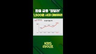 환율 급등 ‘킹달러’💲1,500원 시대 대비하라! [무엇이든 물어보세요] | KBS 방송