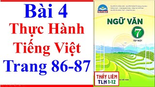 Ngữ Văn 7 Bài 4 | Thực Hành Tiếng Việt | Trang 86 - 87 | Chân Trời Sáng Tạo