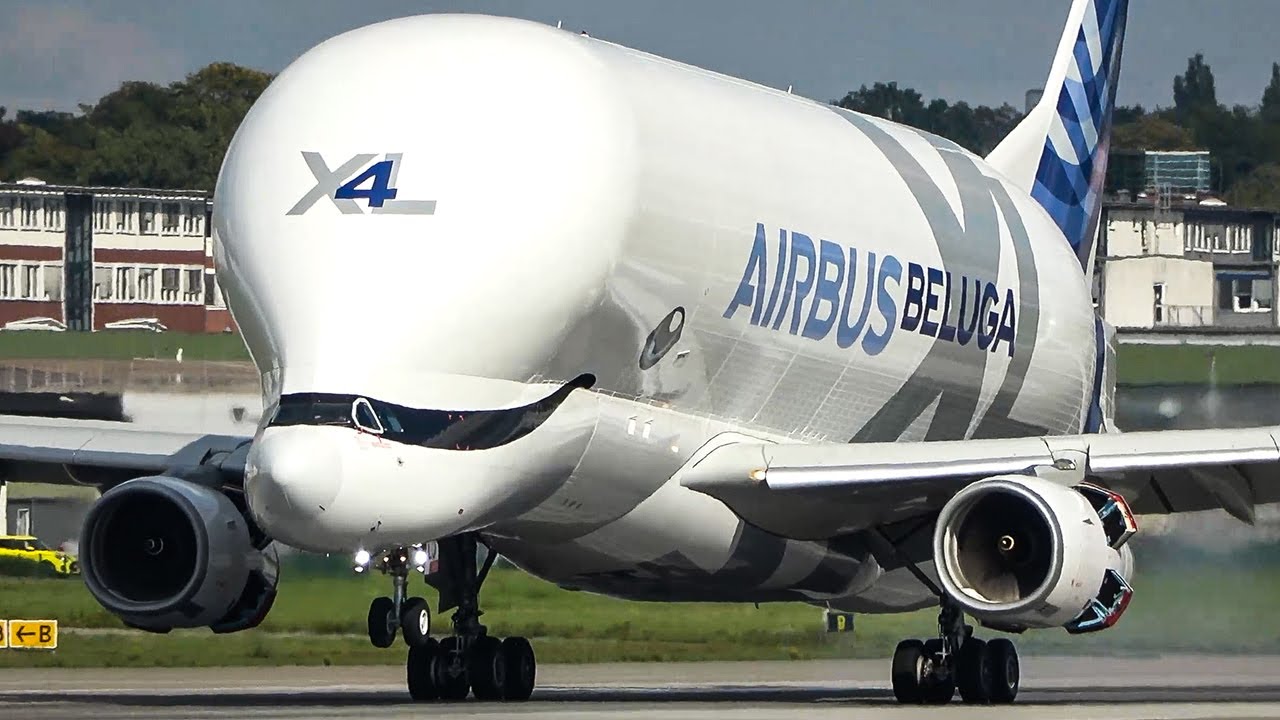 AIRBUS BELUGA XL LANDING And Departure - THE FLYING WHALE (4K) - YouTube