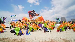 [4K] 名古屋学生チーム『鯱』(準大賞)　どまつり夜桜in岡崎 2018