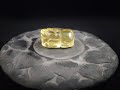 Liontin Batu Citrine Quartz Crystal Ukiran PiXiu HQ 27mm F259